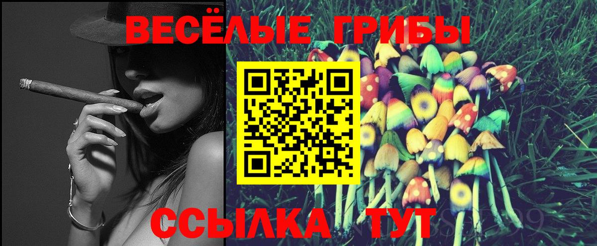 Дедовск  Галлюциногенные грибы ЛСД  Псилоцибиновые грибы прущие грибы  Вход с VPN 