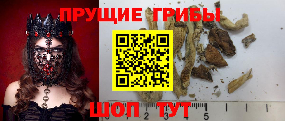 Галлюциногенные грибы Magic Shrooms Дедовск